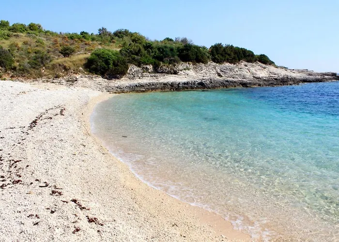 Tatil Evi Secluded Fisherman's Cove Ripisce, Dugi Otok - 394
