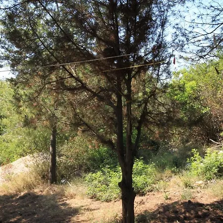 Secluded Fisherman's Cove Ripisce, Dugi Otok - 394 *